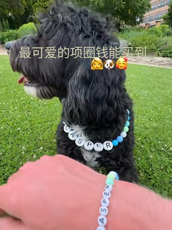 Custom Pet Name Necklace with FREE Matching Bracelet