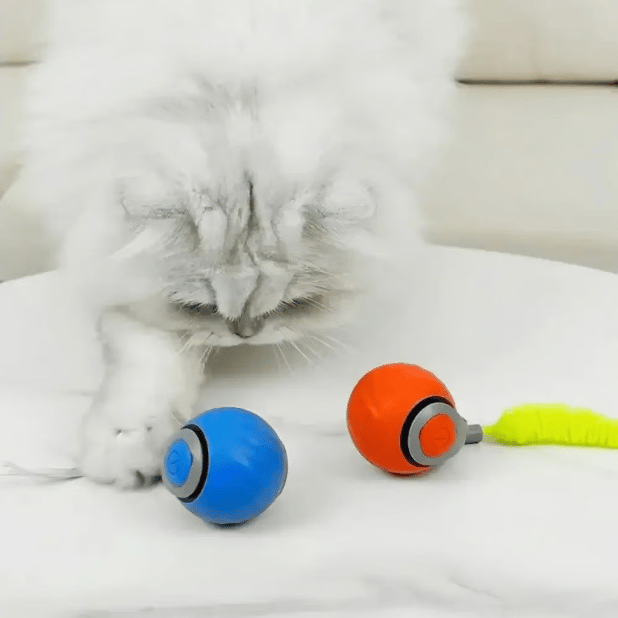 🔥New Version Upgrade Interactive Electric Rolling Ball with Teasing Tail