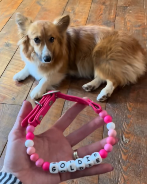 Custom Pet Name Necklace with FREE Matching Bracelet