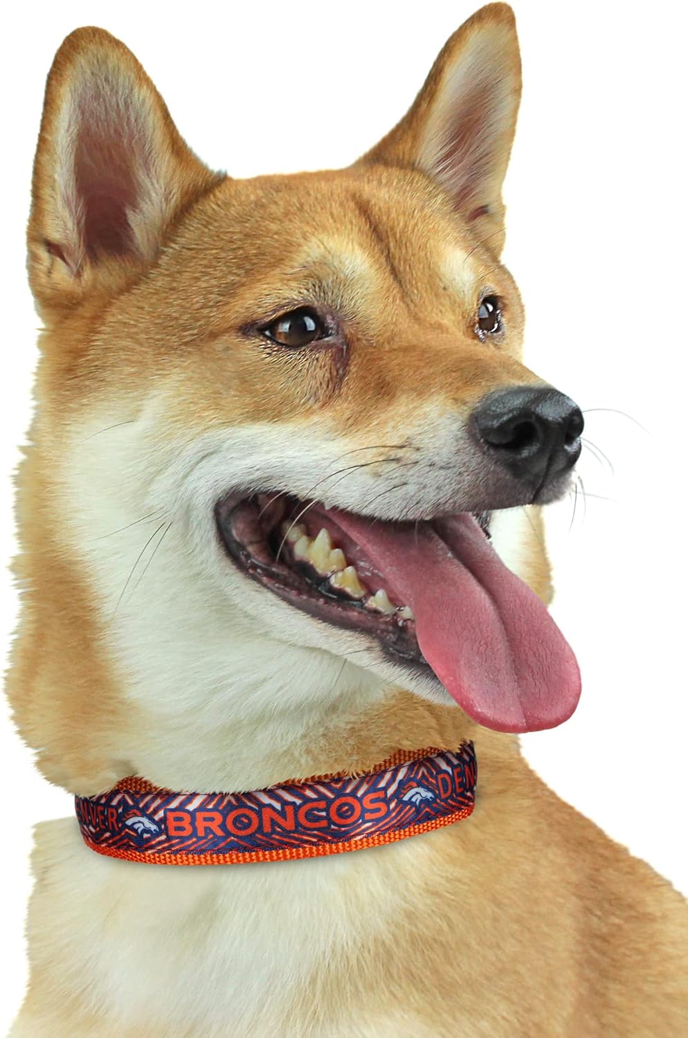 Zubaz NFL Team Adjustable Pet Collar for Dogs & Cats, Pittsburgh Steelers, Medium