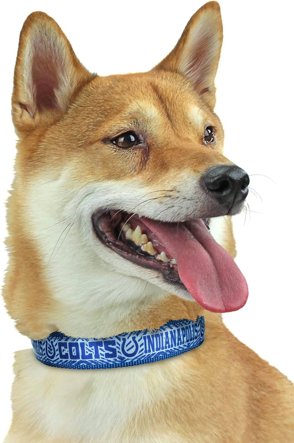 Zubaz NFL Team Adjustable Pet Collar for Dogs & Cats, Pittsburgh Steelers, Medium