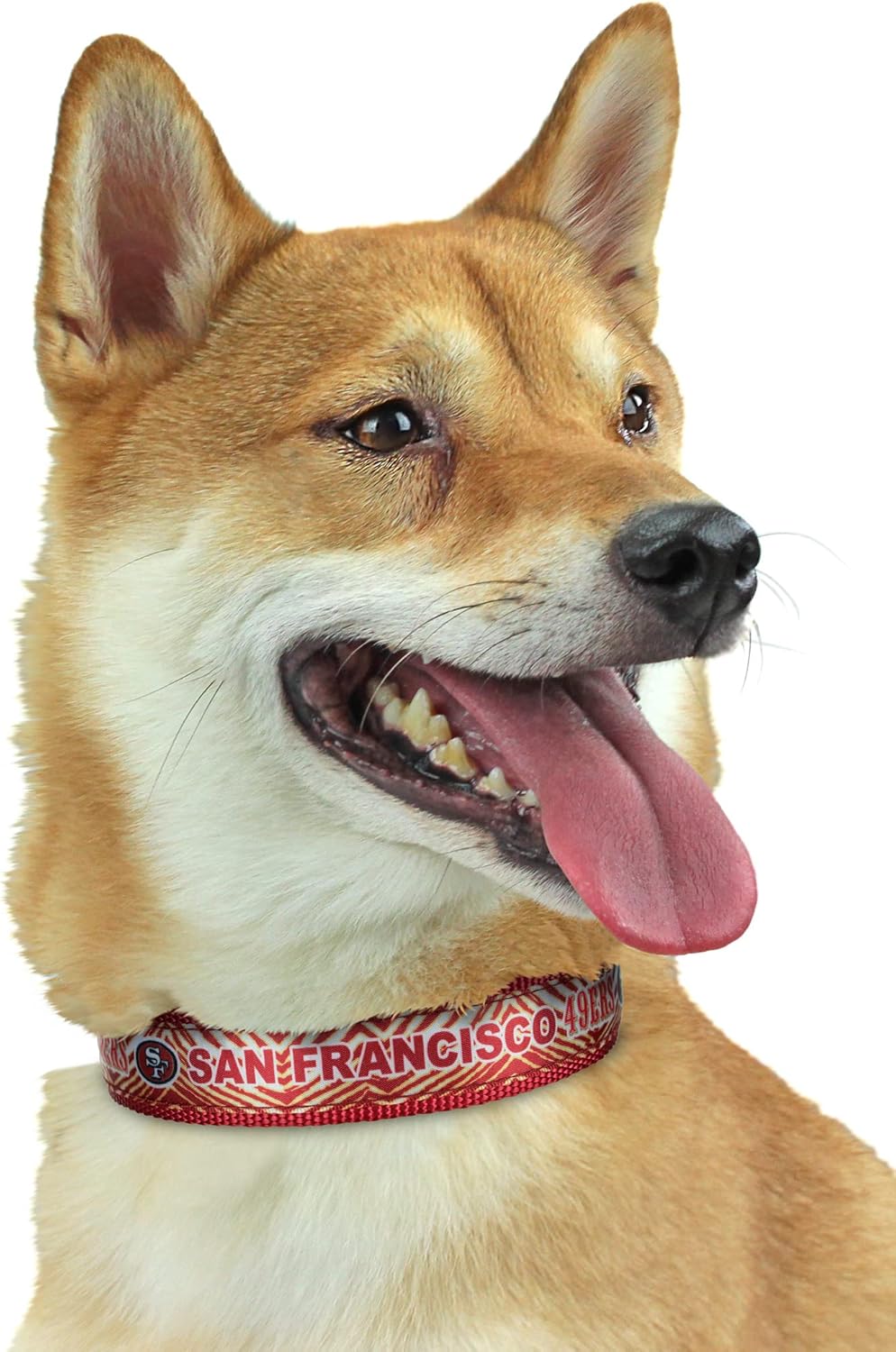 Zubaz NFL Team Adjustable Pet Collar for Dogs & Cats, Pittsburgh Steelers, Medium