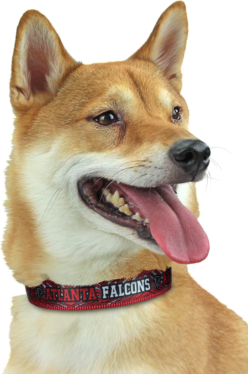 Zubaz NFL Team Adjustable Pet Collar for Dogs & Cats, Pittsburgh Steelers, Medium