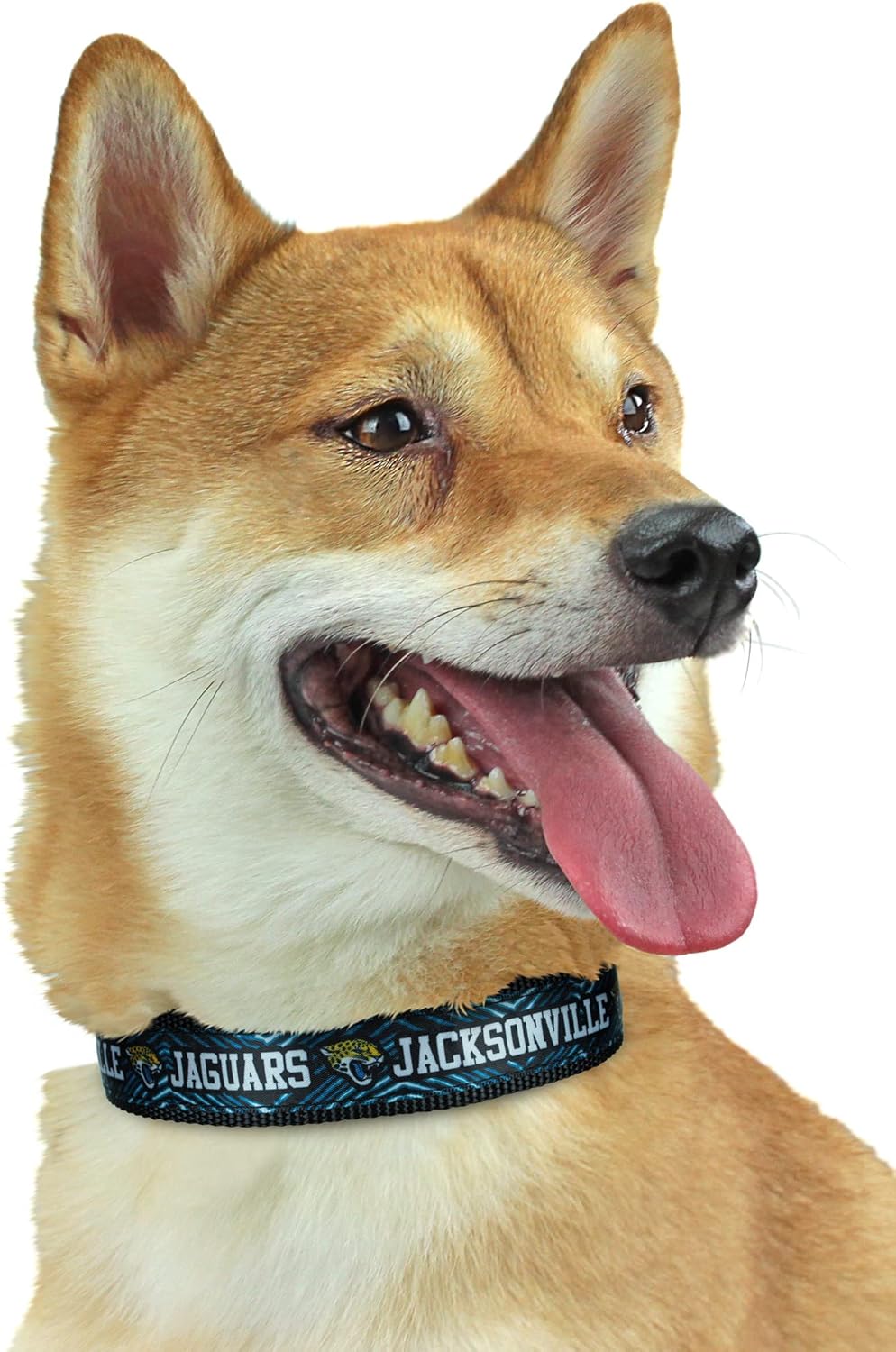 Zubaz NFL Team Adjustable Pet Collar for Dogs & Cats, Pittsburgh Steelers, Medium