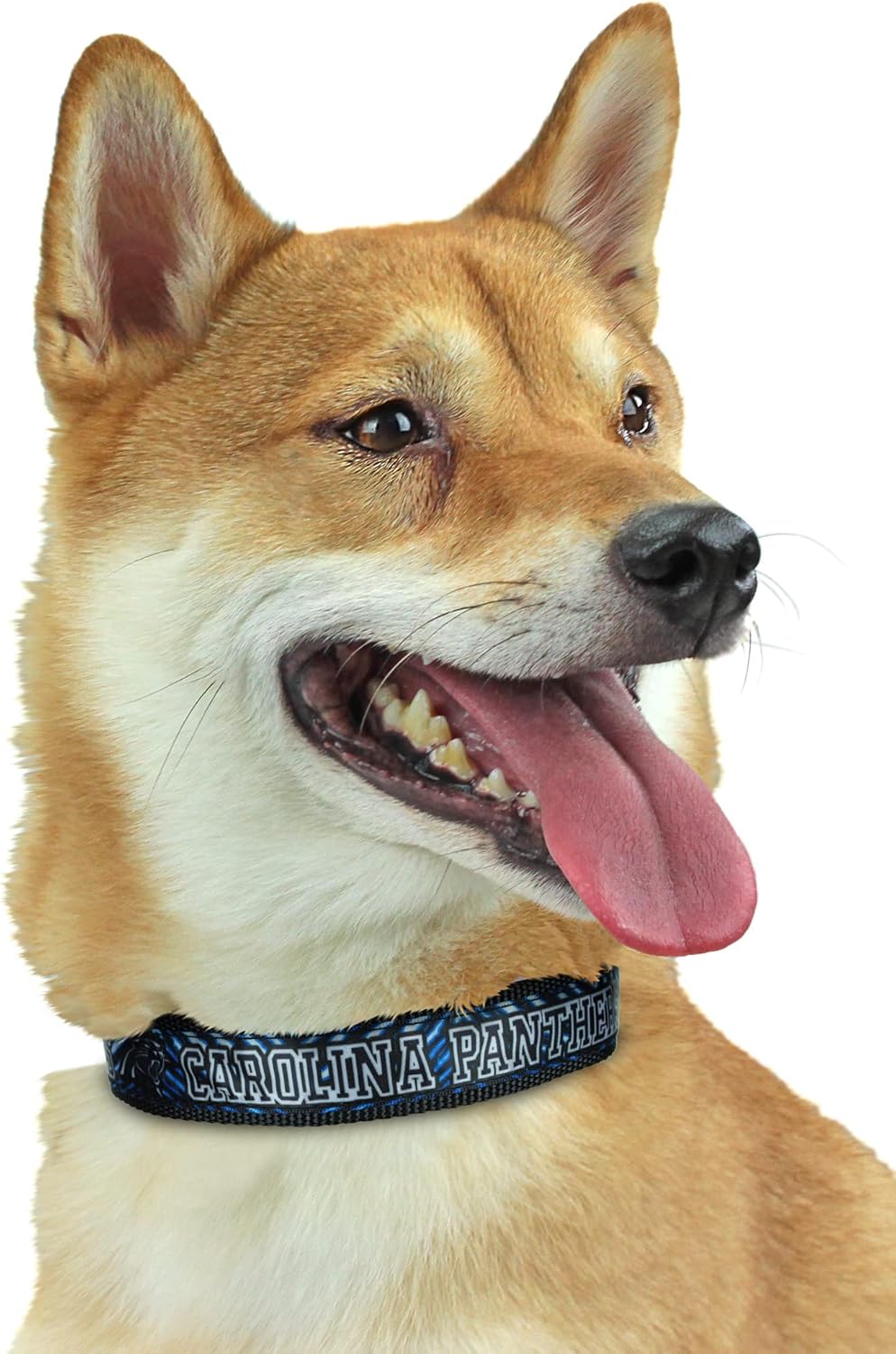 Zubaz NFL Team Adjustable Pet Collar for Dogs & Cats, Pittsburgh Steelers, Medium