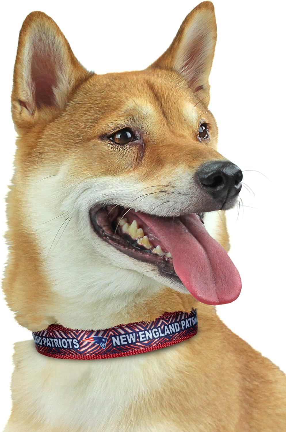 Zubaz NFL Team Adjustable Pet Collar for Dogs & Cats, Pittsburgh Steelers, Medium