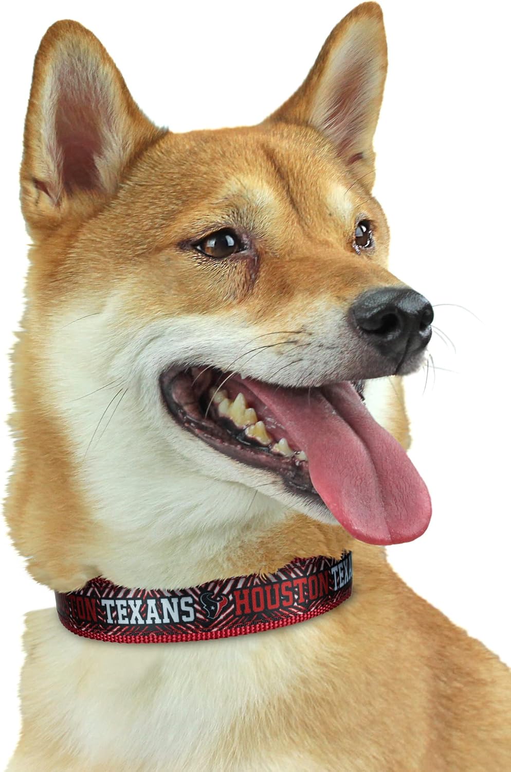 Zubaz NFL Team Adjustable Pet Collar for Dogs & Cats, Pittsburgh Steelers, Medium