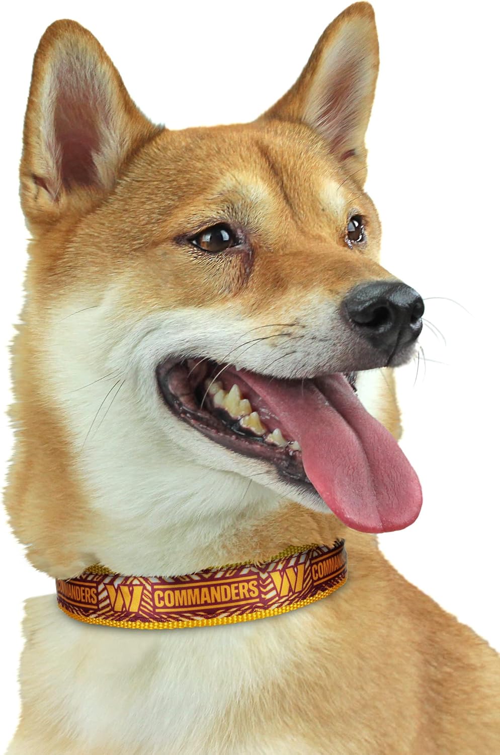 Zubaz NFL Team Adjustable Pet Collar for Dogs & Cats, Pittsburgh Steelers, Medium