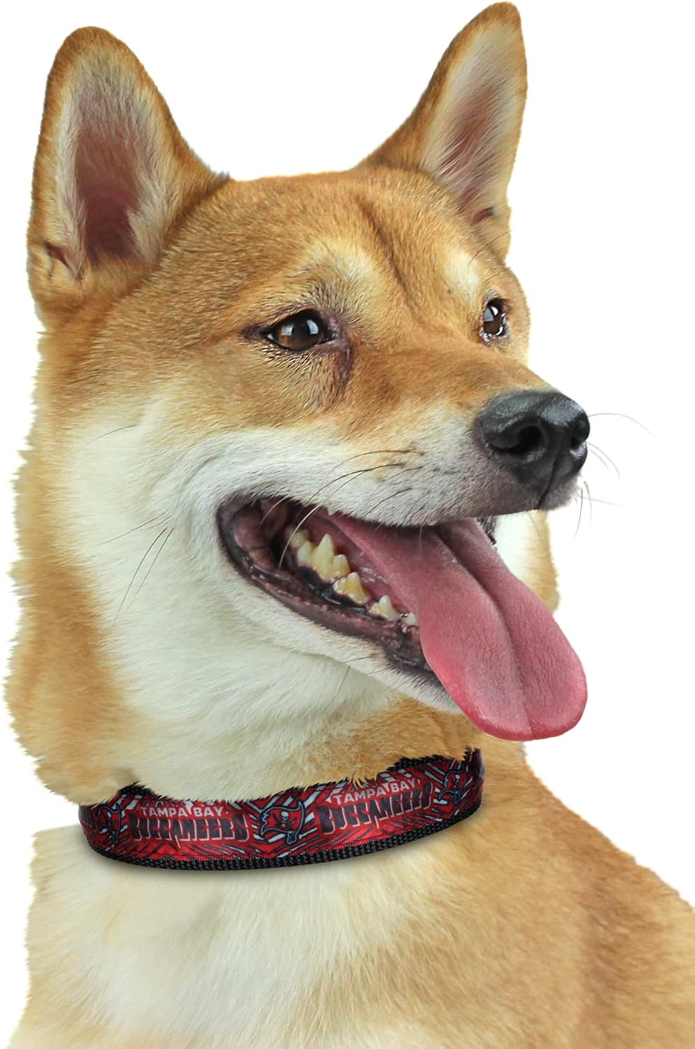 Zubaz NFL Team Adjustable Pet Collar for Dogs & Cats, Pittsburgh Steelers, Medium