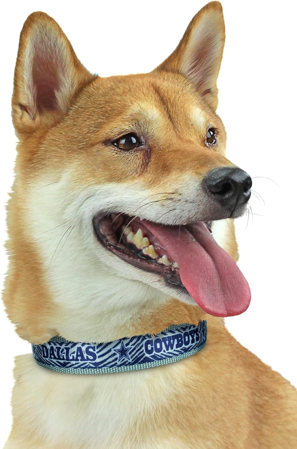 Zubaz NFL Team Adjustable Pet Collar for Dogs & Cats, Pittsburgh Steelers, Medium