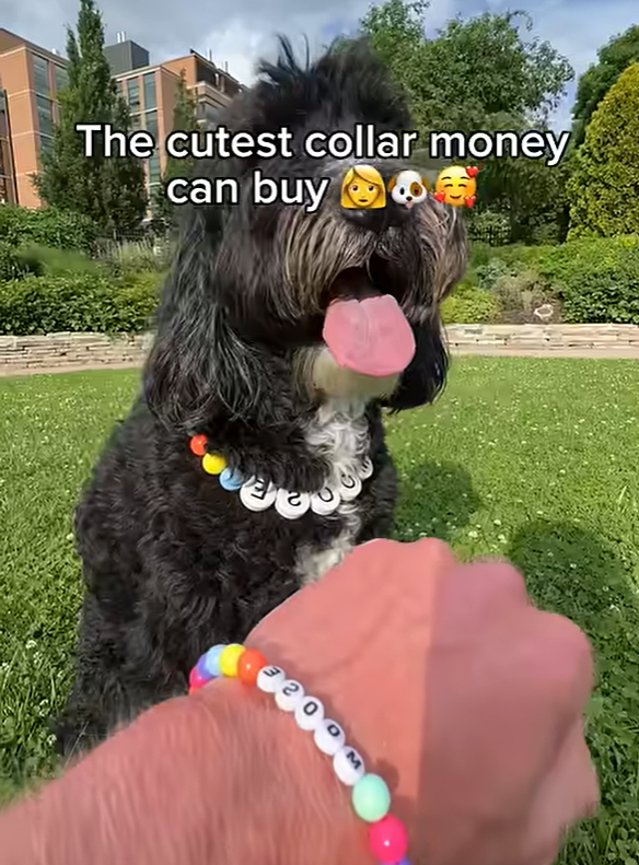 Custom Pet Name Necklace with FREE Matching Bracelet