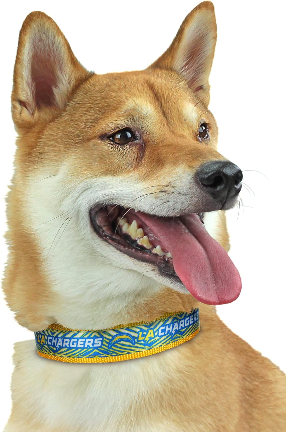 Zubaz NFL Team Adjustable Pet Collar for Dogs & Cats, Pittsburgh Steelers, Medium