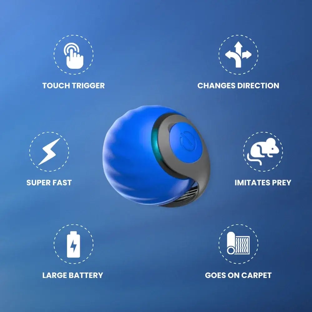 🔥New Version Upgrade Interactive Electric Rolling Ball with Teasing Tail