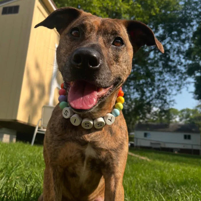 Custom Pet Name Necklace with FREE Matching Bracelet